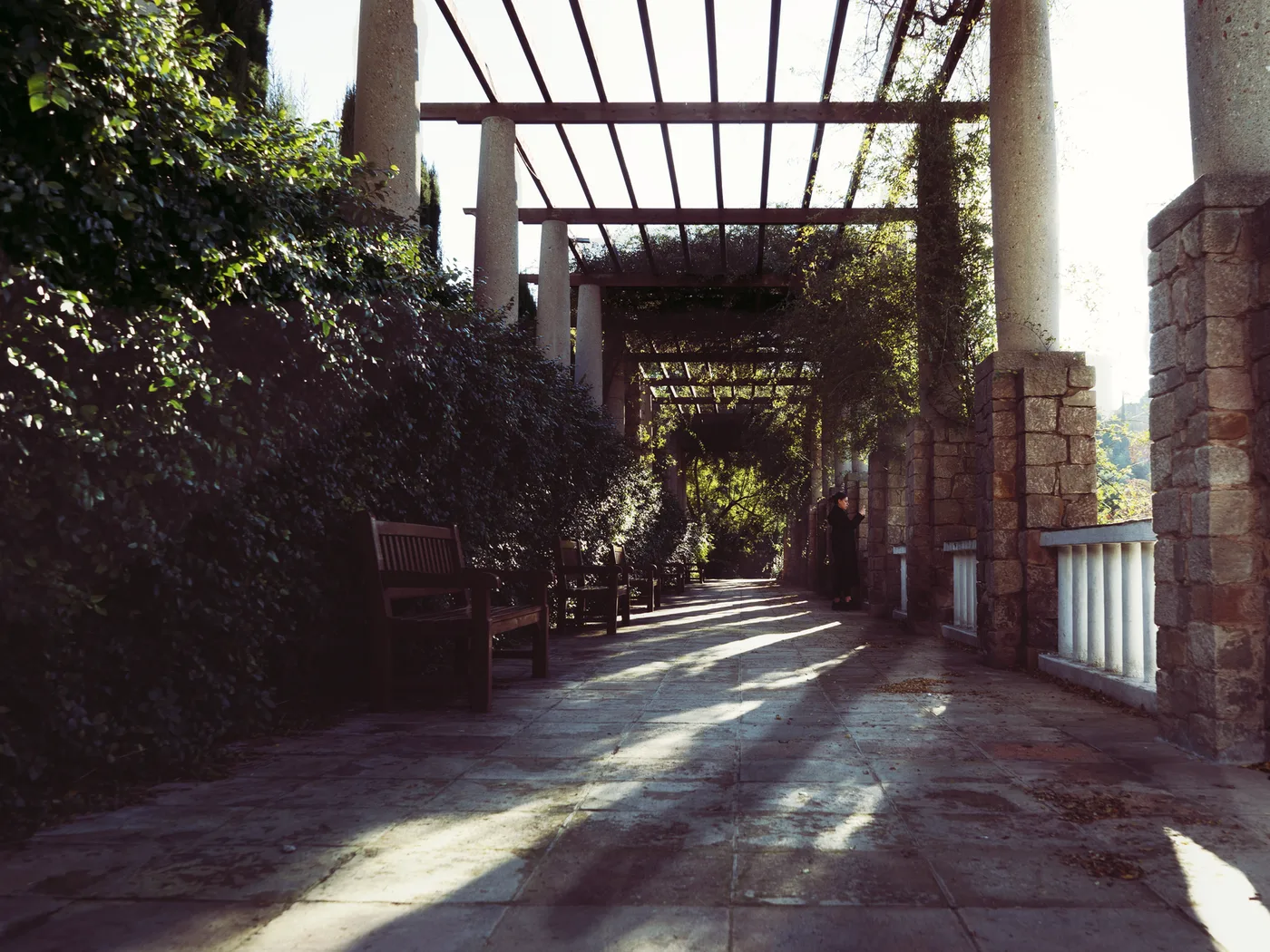 Protections solaires